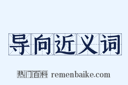 导向近义词是什么意思的图片